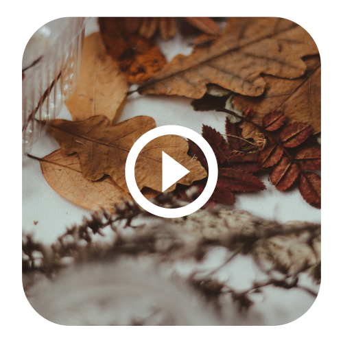 *Soin offert* automnal